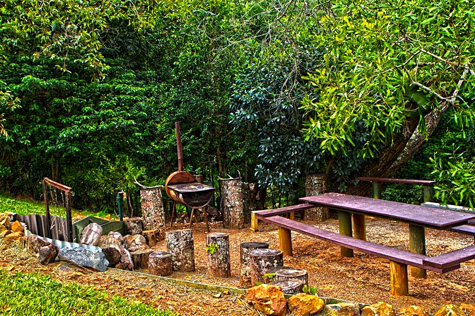 A barbecue drum, log stools and a picnic table in a forest clearing