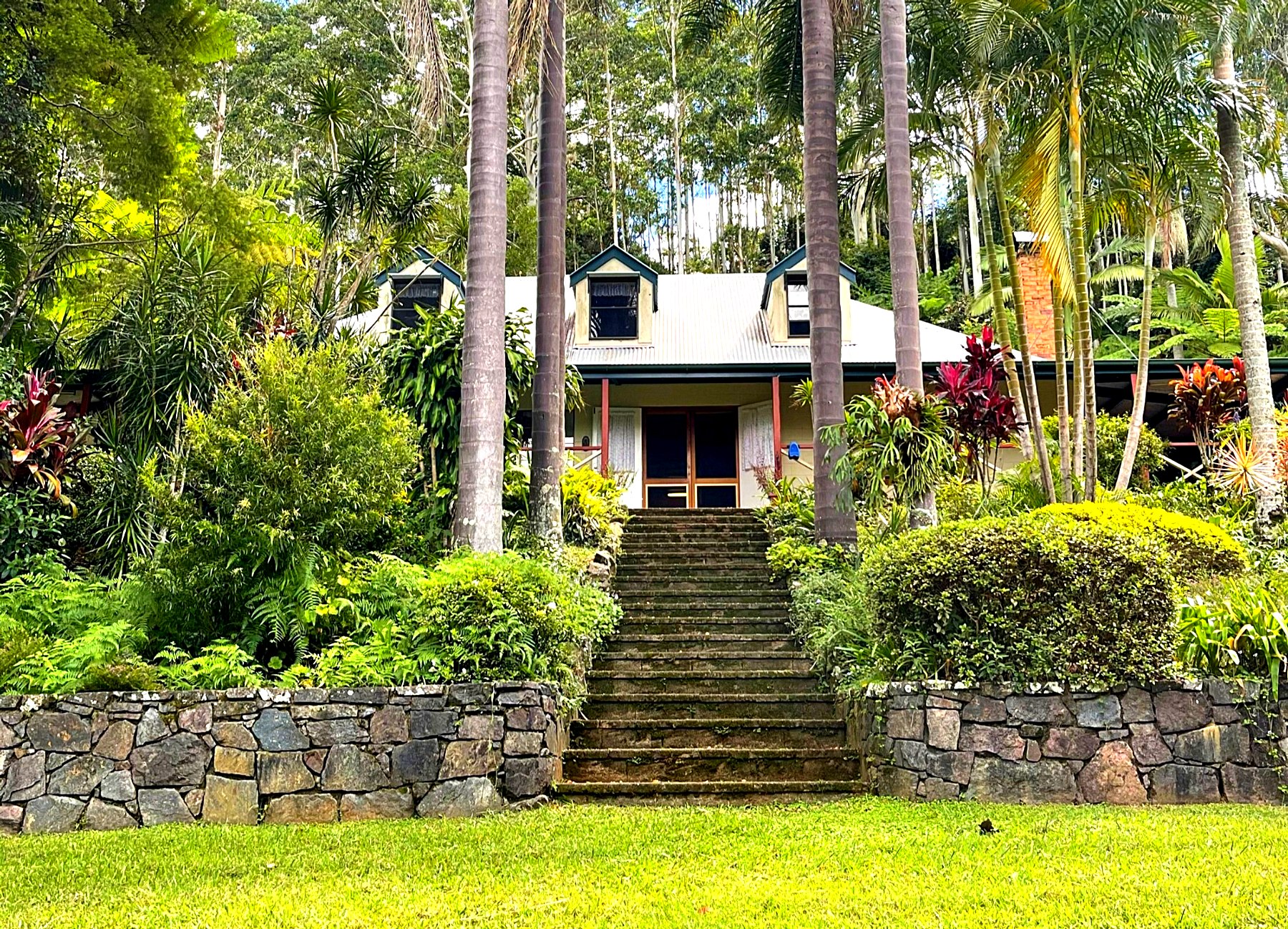 Sweetwater Cottage seen from the garden, with stone steps rising between palms to the front door