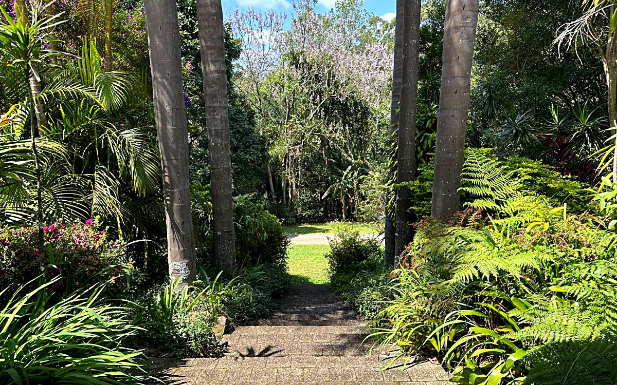 Looking out from the front doors over a paved path, palms and a garden