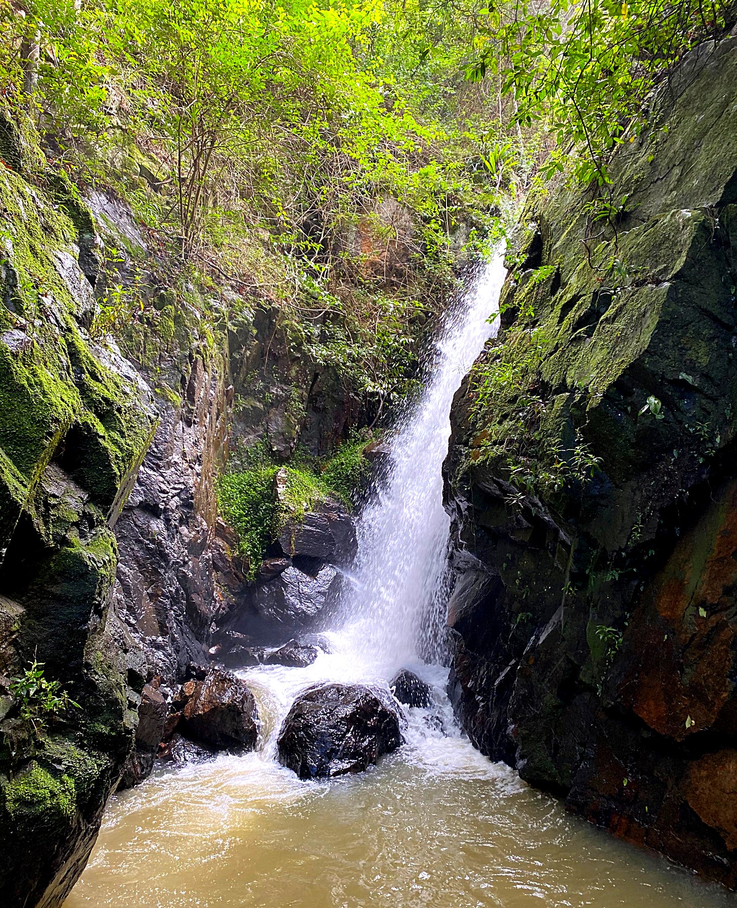 A tall waterfall dropping between mossy rock walls into a pool