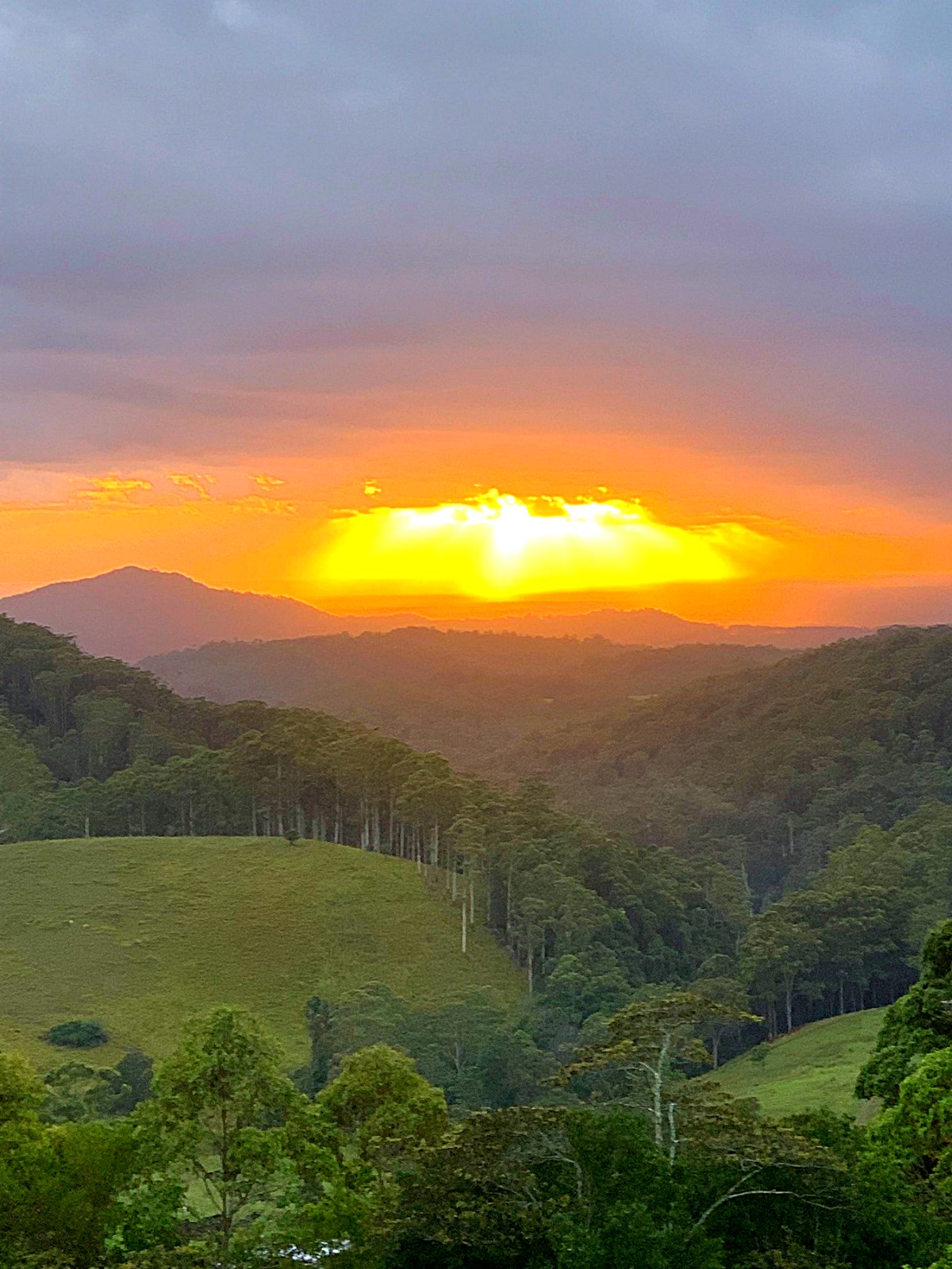 Sunset over forested hills and a green paddock